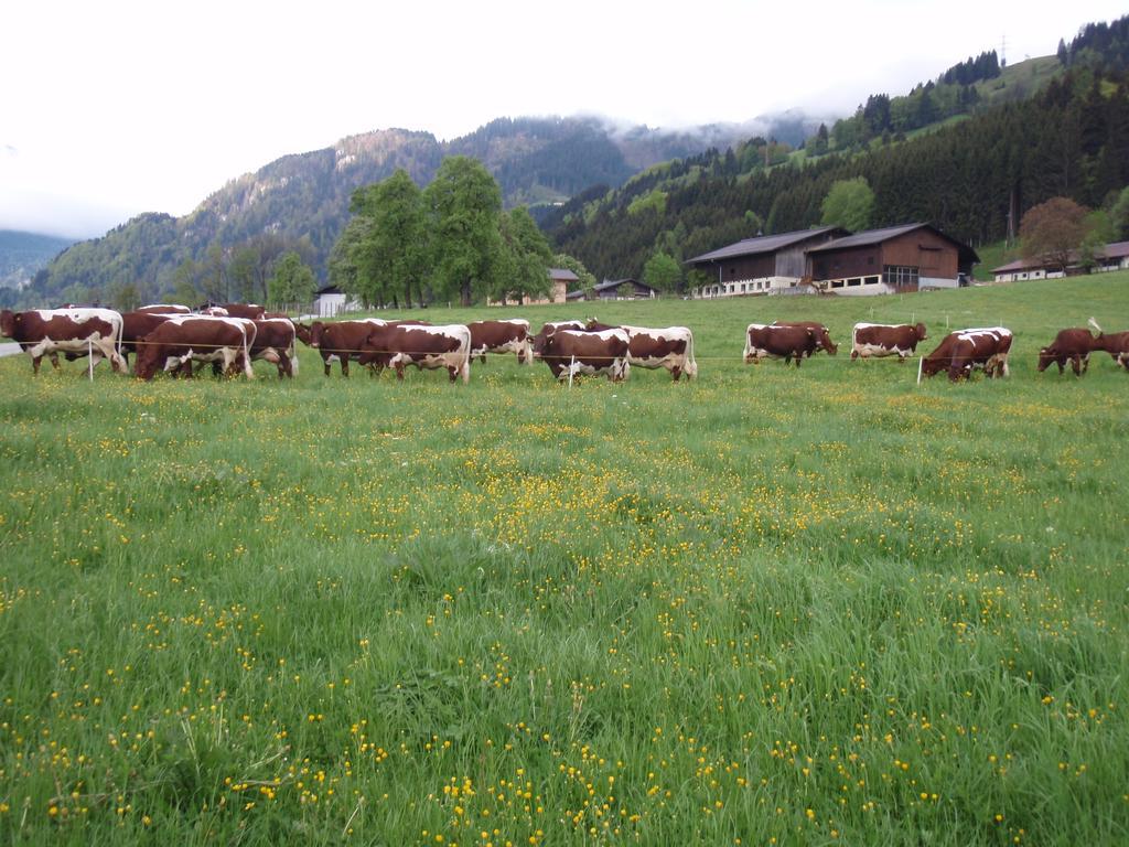Palfnerhof Appartements Sankt Johann im Pongau Dış mekan fotoğraf